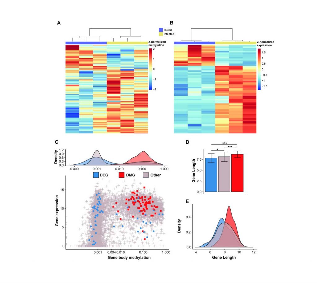 Ecological & Evolutionary Epigenomics | Soojin Yi | Comparative ...