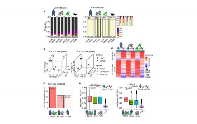 Jeong et al. 2021 (click image to view full size)