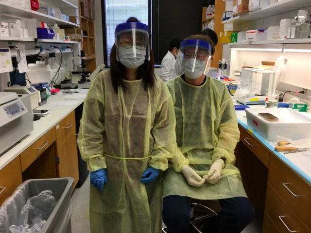 Soojin helping with brain dissection